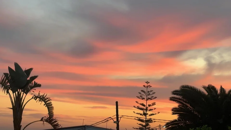 Sonnenuntergang hinter den Palmen